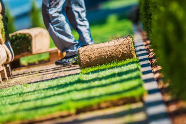 Hybrid Pitch Maintenance in Norfolk